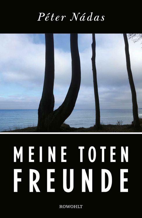 Produktbild: Meine toten Freunde