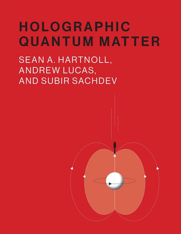 Produktbild: Holographic Quantum Matter