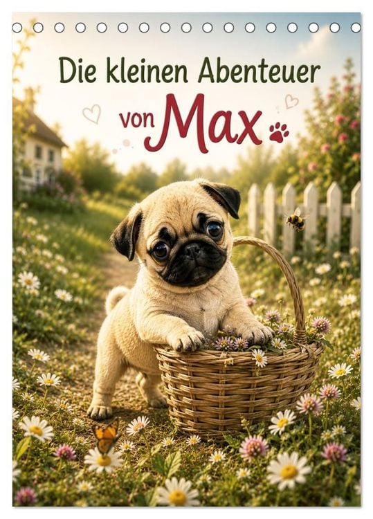 Produktbild: Die kleinen Abenteuer von Max (Tischkalender 2027 DIN A5 hoch), CALVENDO Monatskalender