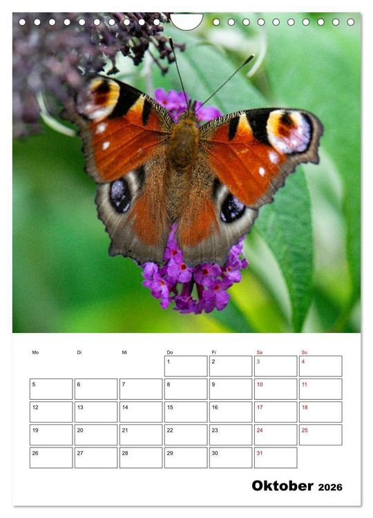 Produktbild: Insekten im Fokus (Wandkalender 2026 DIN A4 hoch), CALVENDO Monatskalender