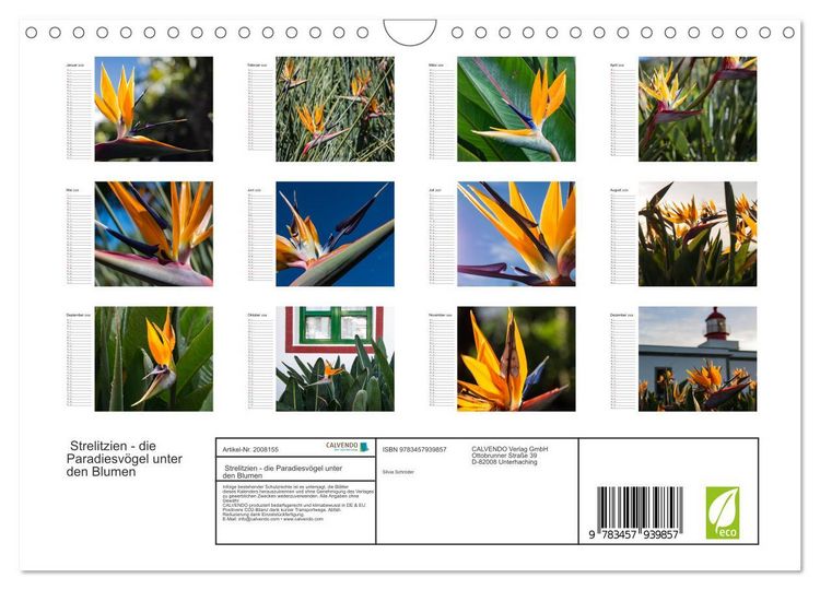 Produktbild: Strelitzien - die Paradiesv&ouml;gel unter den Blumen (Wandkalender 2026 DIN A4 quer), CALVENDO Monatskalender