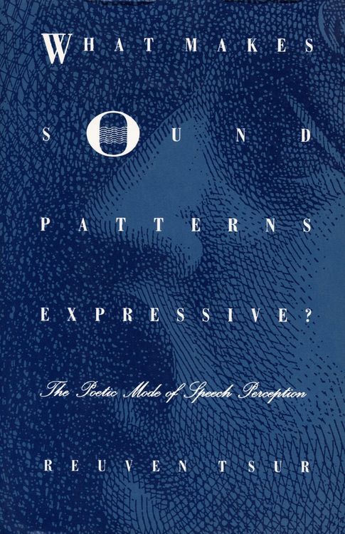 Produktbild: What Makes Sound Patterns Expressive?