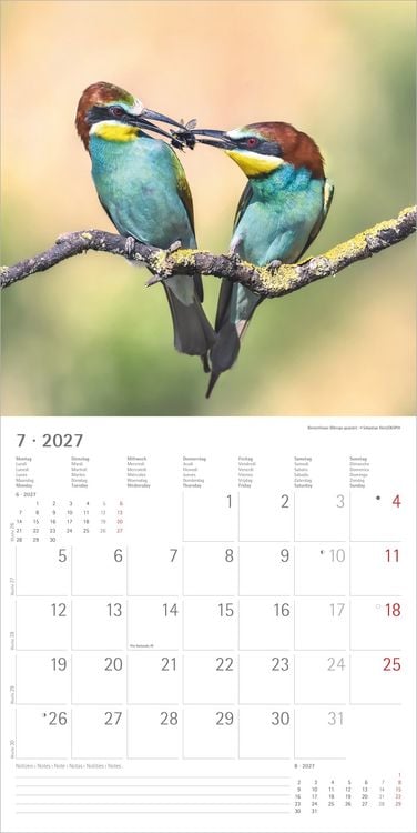 Produktbild: Einheimische V&ouml;gel 2027