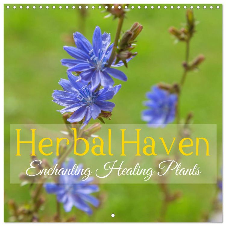 Produktbild: Herbal Haven. Enchanting Healing Plants (Wall Calendar 2026 12 &times; 12 Inch) CALVENDO 12 Month Wall Calendar