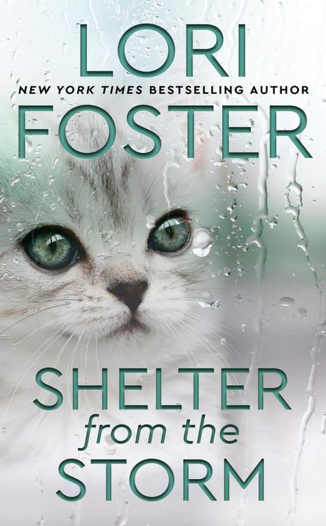 Produktbild: Shelter from the Storm