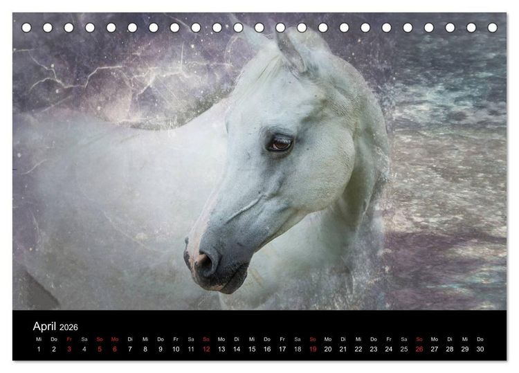 Produktbild: Pferde zum Tr&auml;umen (Tischkalender 2026 DIN A5 quer), CALVENDO Monatskalender
