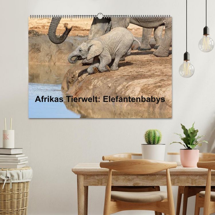 Produktbild: Afrikas Tierwelt: Elefantenbabys (Wandkalender 2026 DIN A2 quer), CALVENDO Monatskalender
