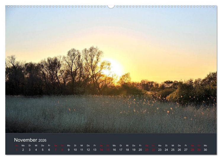 Produktbild: Heimat im Bremer Blockland (Wandkalender 2026 DIN A2 quer), CALVENDO Monatskalender