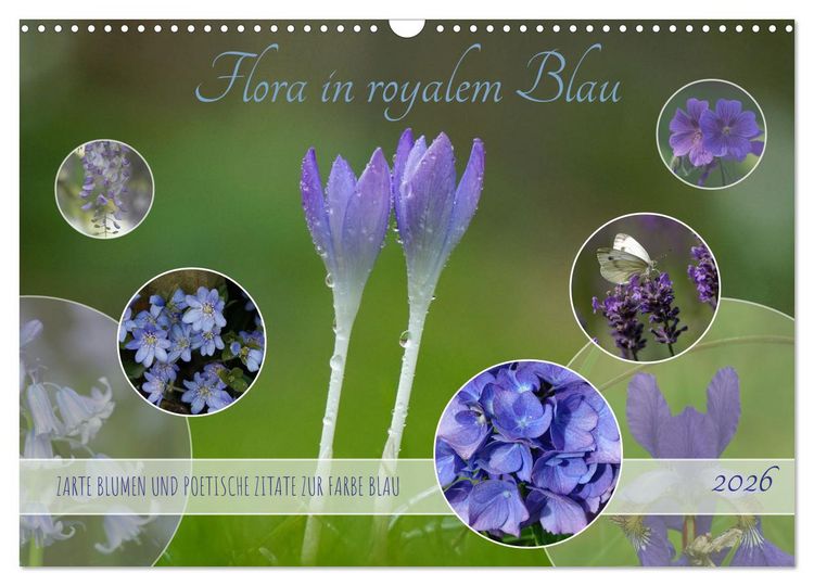 Produktbild: Flora in royalem Blau (Wandkalender 2026 DIN A3 quer), CALVENDO Monatskalender