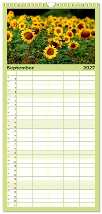 Produktbild: Familienplaner 2027 - Sonnenblumen mit 5 Spalten (Wandkalender, 21 x 45 cm) CALVENDO