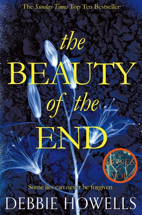 Produktbild: The Beauty of the End