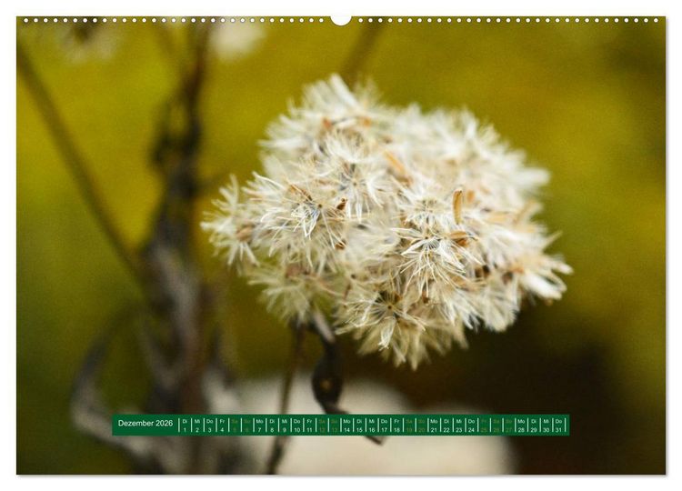 Produktbild: Unterwegs im Deister (hochwertiger Premium Wandkalender 2026 DIN A2 quer), Kunstdruck in Hochglanz