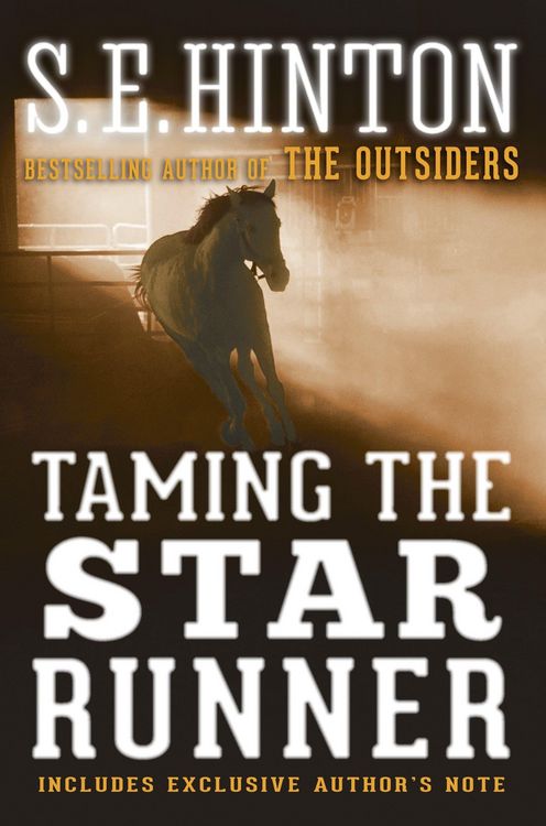 Produktbild: Taming the Star Runner