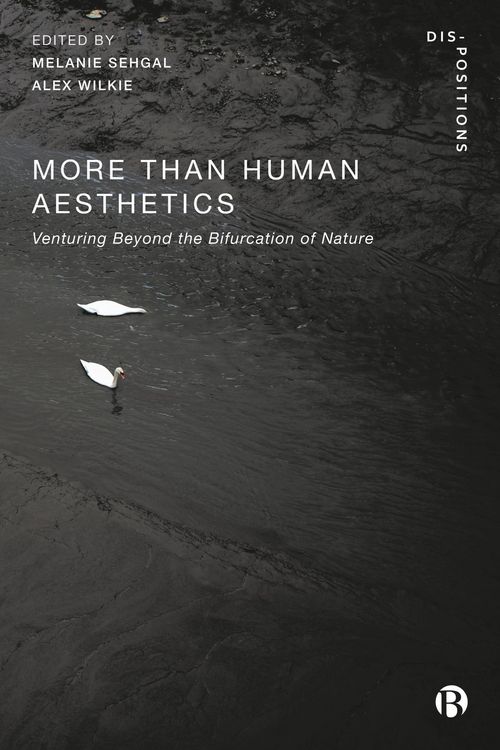 Produktbild: More-Than-Human Aesthetics