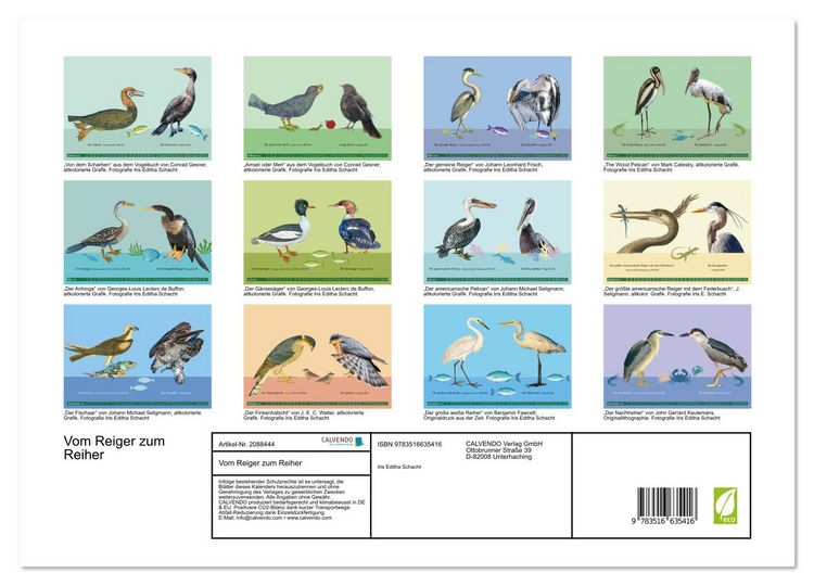 Produktbild: Vom Reiger zum Reiher (hochwertiger Premium Wandkalender 2026 DIN A2 quer), Kunstdruck in Hochglanz