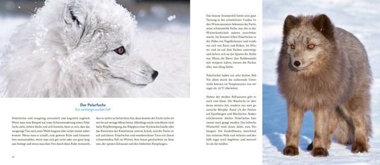 Produktbild: Spitzbergen