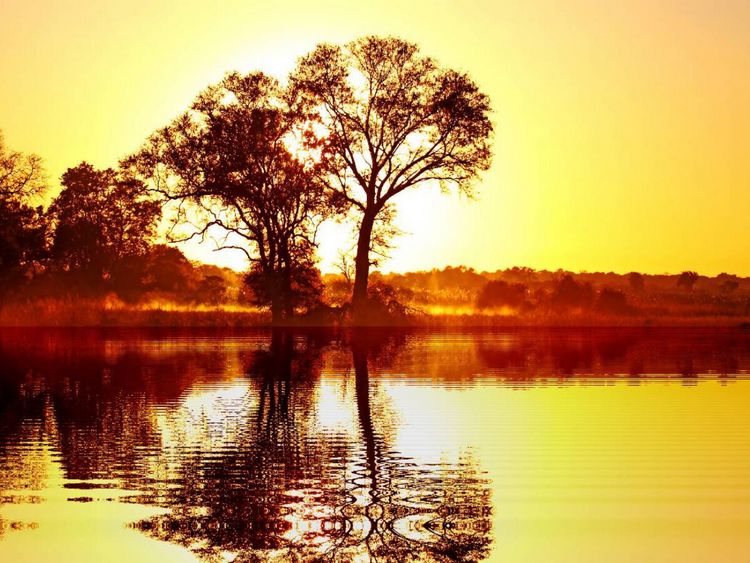 Produktbild: CALVENDO Puzzle Morgens in Afrika | 1000 Teile Lege-Gr&ouml;&szlig;e 64x48cm Foto-Puzzle f&uuml;r gl&uuml;ckliche Stunden