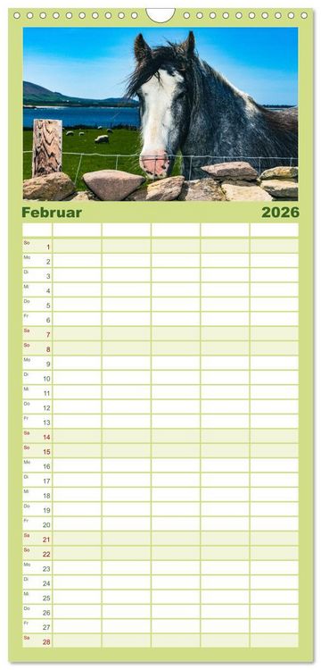Produktbild: Familienplaner 2026 - Wir sehen uns in Irland - Ring of Beara und Ring of Kerry mit 5 Spalten (Wandkalender, 21 x 45 cm) CALVENDO