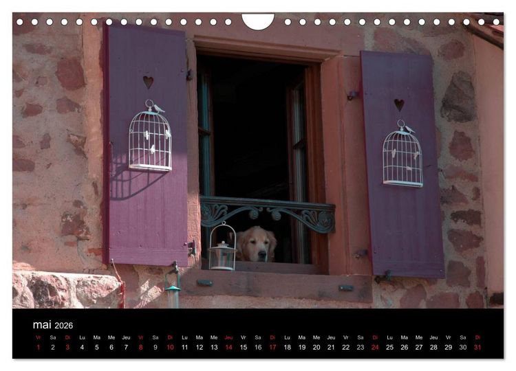 Produktbild: D&eacute;tails d'Alsace (Calendrier mural 2026 DIN A4 vertical), CALVENDO calendrier mensuel