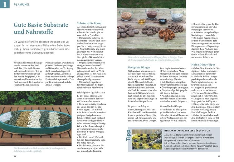 Produktbild: Bonsai ziehen, gestalten und pflegen