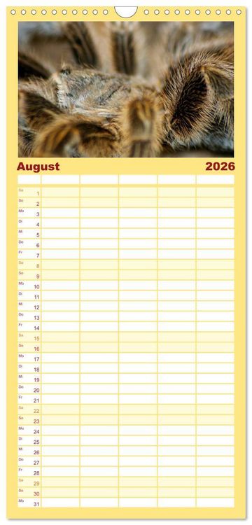 Produktbild: Familienplaner 2026 - Vogelspinnen mit 5 Spalten (Wandkalender, 21 x 45 cm) CALVENDO