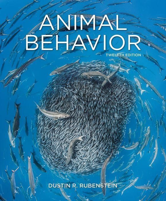 Produktbild: Rubenstein, D: Animal Behavior