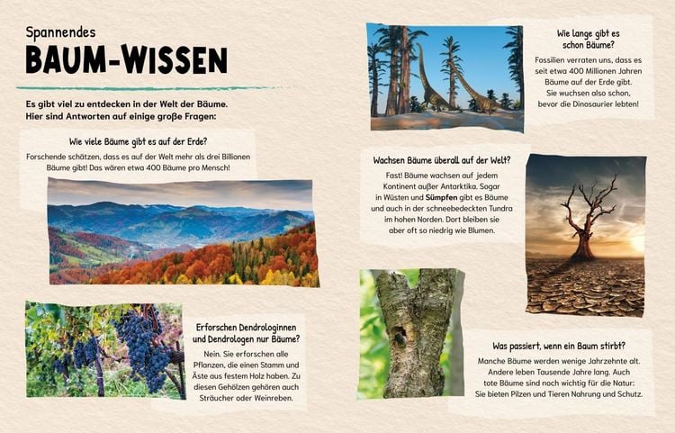 Produktbild: K&ouml;nnen B&auml;ume miteinander sprechen? (Gute Frage!)