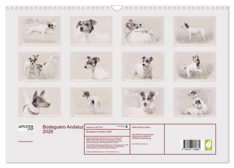 Produktbild: Bodeguero Andaluz 2026 (Wandkalender 2026 DIN A3 quer), CALVENDO Monatskalender