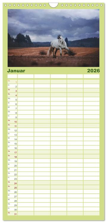 Produktbild: Familienplaner 2026 - Die Faszinierende Welt der Pferde mit 5 Spalten (Wandkalender, 21 x 45 cm) CALVENDO