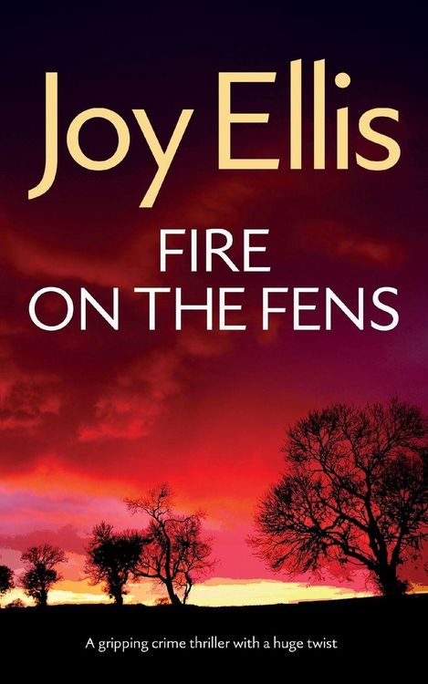 Produktbild: FIRE ON THE FENS a gripping crime thriller with a huge twist