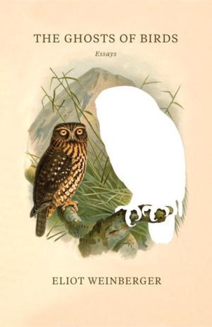 Produktbild: The Ghosts of Birds