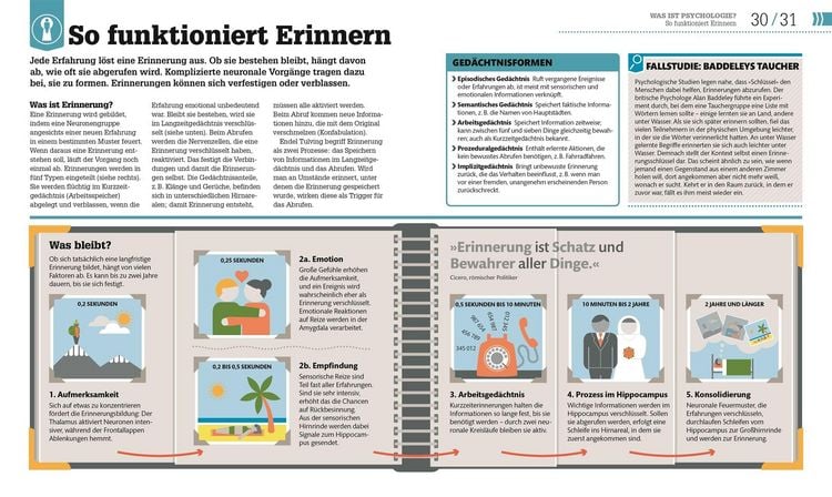 Produktbild: #dkinfografik. Psychologie im Alltag