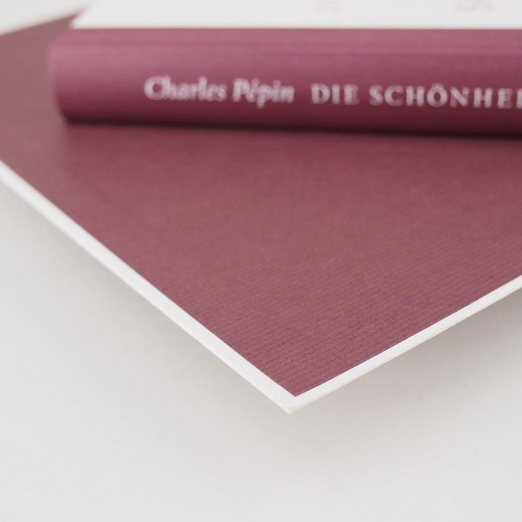 Produktbild: Die Sch&ouml;nheit des Scheiterns