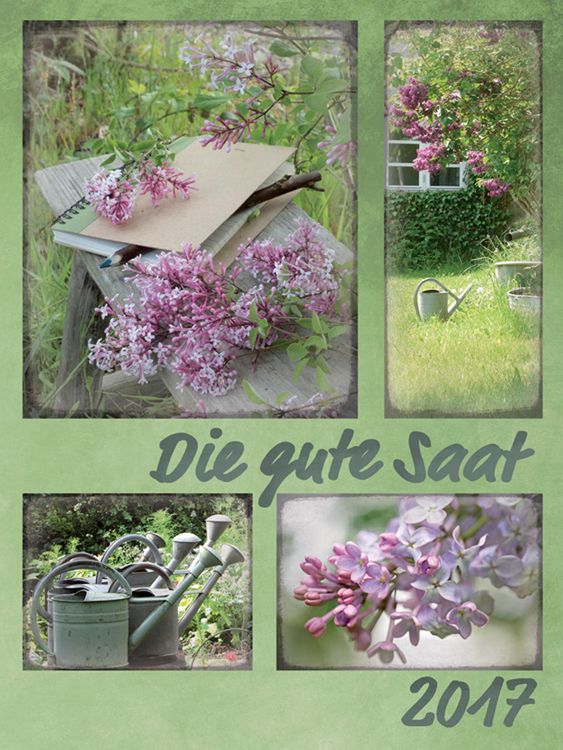 Produktbild: Die gute Saat (2017)