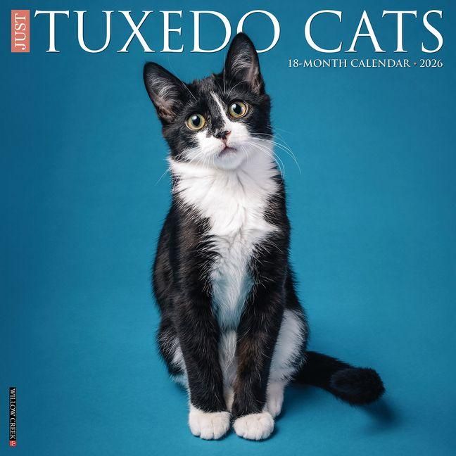 Produktbild: Tuxedo Cats 2026 Wall Calendar