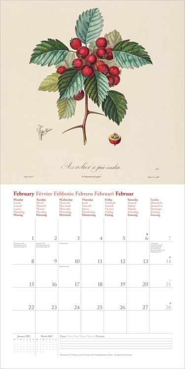 Produktbild: Fruits 2027