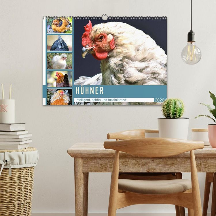 Produktbild: H&uuml;hner. Intelligent, sch&ouml;n und faszinierend (Wandkalender 2026 DIN A3 quer), CALVENDO Monatskalender