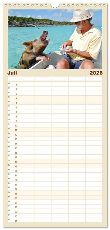 Produktbild: Familienplaner 2026 - Schwimmende Schweine auf den Bahamas! mit 5 Spalten (Wandkalender, 21 x 45 cm) CALVENDO