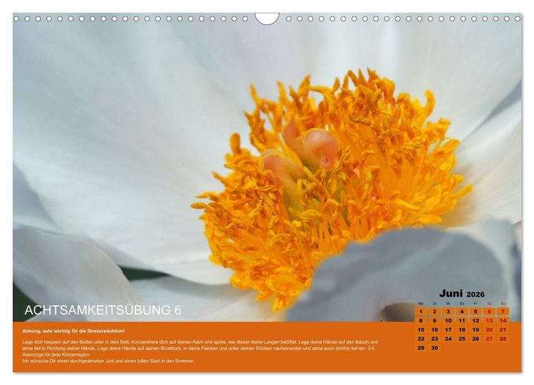 Produktbild: Achtsamkeit, 12 &Uuml;bungen zu mehr Achtsamkeit. (Wandkalender 2026 DIN A3 quer), CALVENDO Monatskalender