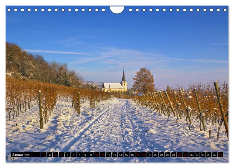 Produktbild: Augenschmaus Pfalz (Wandkalender 2026 DIN A4 quer), CALVENDO Monatskalender