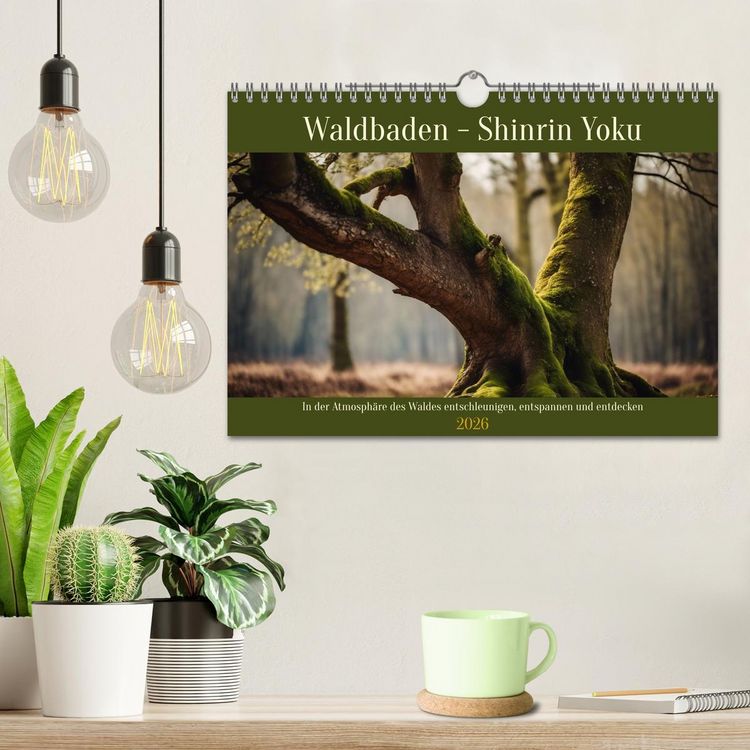 Produktbild: Waldbaden - Shinrin Yoku (Wandkalender 2026 DIN A4 quer), CALVENDO Monatskalender