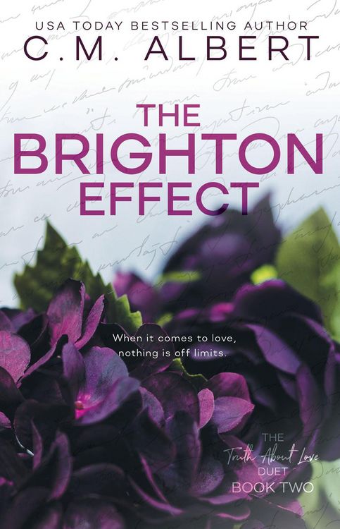 Produktbild: The Brighton Effect (The Truth About Love, #2)