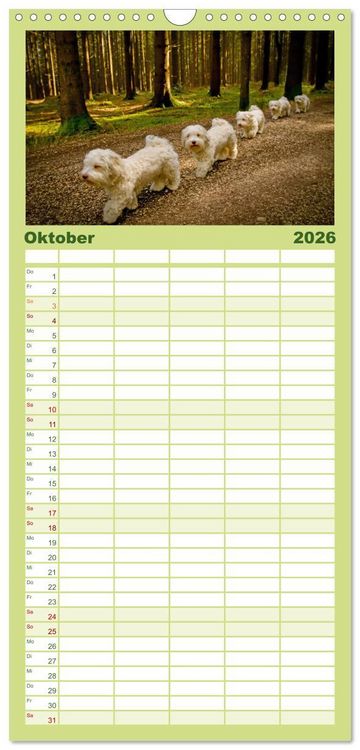 Produktbild: Familienplaner 2026 - Havaneser - Herz aus Gold mit 5 Spalten (Wandkalender, 21 x 45 cm) CALVENDO