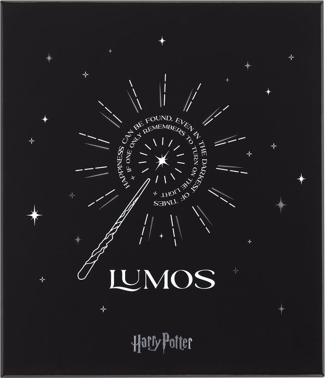 Produktbild: Harry Potter Notizbuch Set Wingardium mit Kaweco Roll Pen&nbsp;