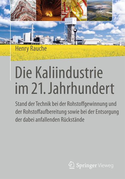 Produktbild: Die Kaliindustrie im 21. Jahrhundert