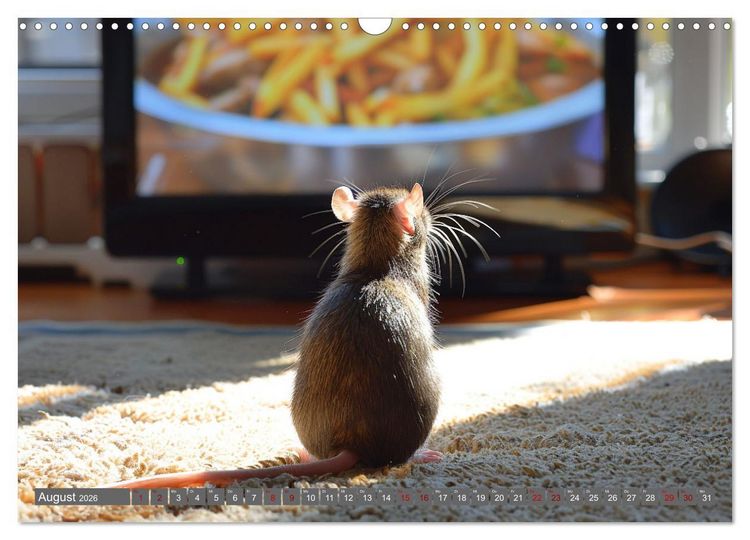 Produktbild: Mein bester Kumpel ist eine Ratte (Wandkalender 2026 DIN A3 quer), CALVENDO Monatskalender