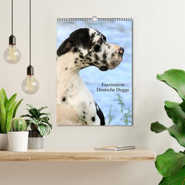 Produktbild: Faszination Deutsche Dogge (Wandkalender 2026 DIN A3 hoch), CALVENDO Monatskalender