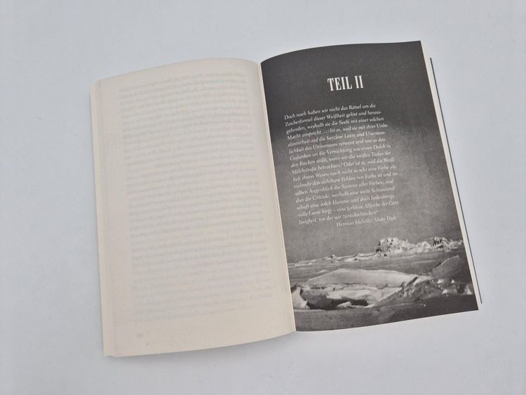 Produktbild: Irrenhaus am Ende der Welt