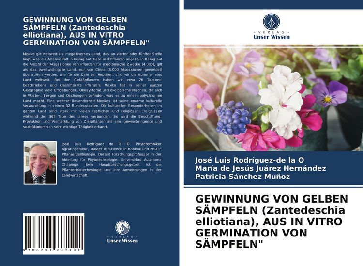 Produktbild: Gewinnung von Gelben S&auml;mpfeln (zantedeschia Elliotiana), Aus in Vitro Germination von S&auml;mpfeln"