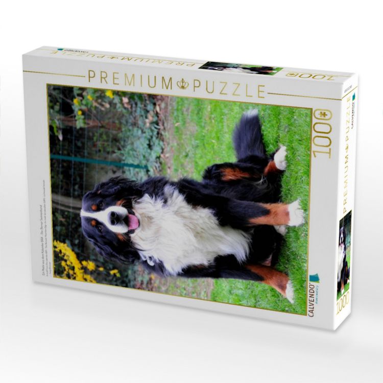 Produktbild: CALVENDO Puzzle Ein Motiv aus dem Kalender B&Auml;R - Der Berner Sennenhund | 1000 Teile Lege-Gr&ouml;&szlig;e 64x48cm Foto-Puzzle f&uuml;r gl&uuml;ckliche Stunden
